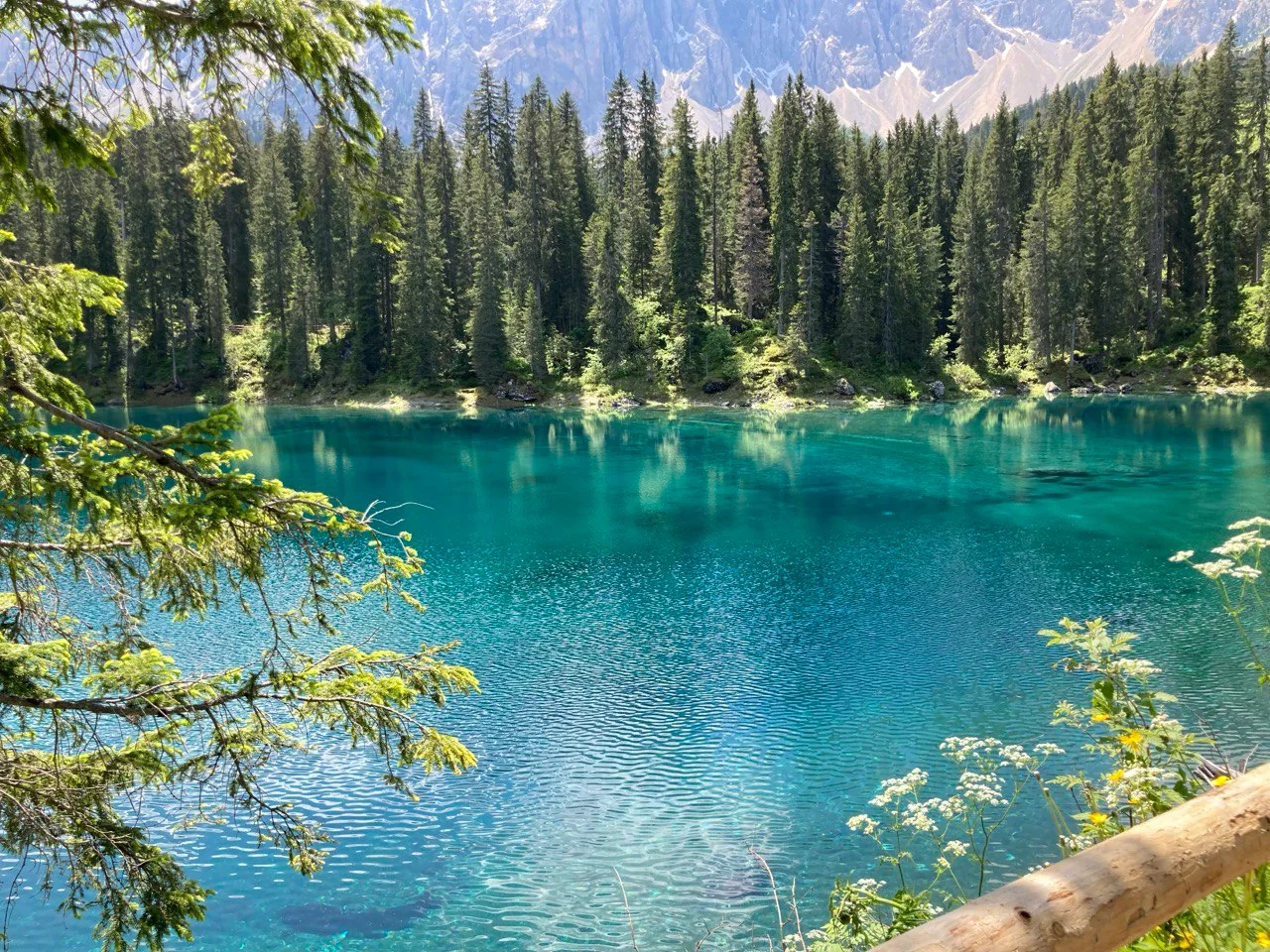 Immagine illustrativa