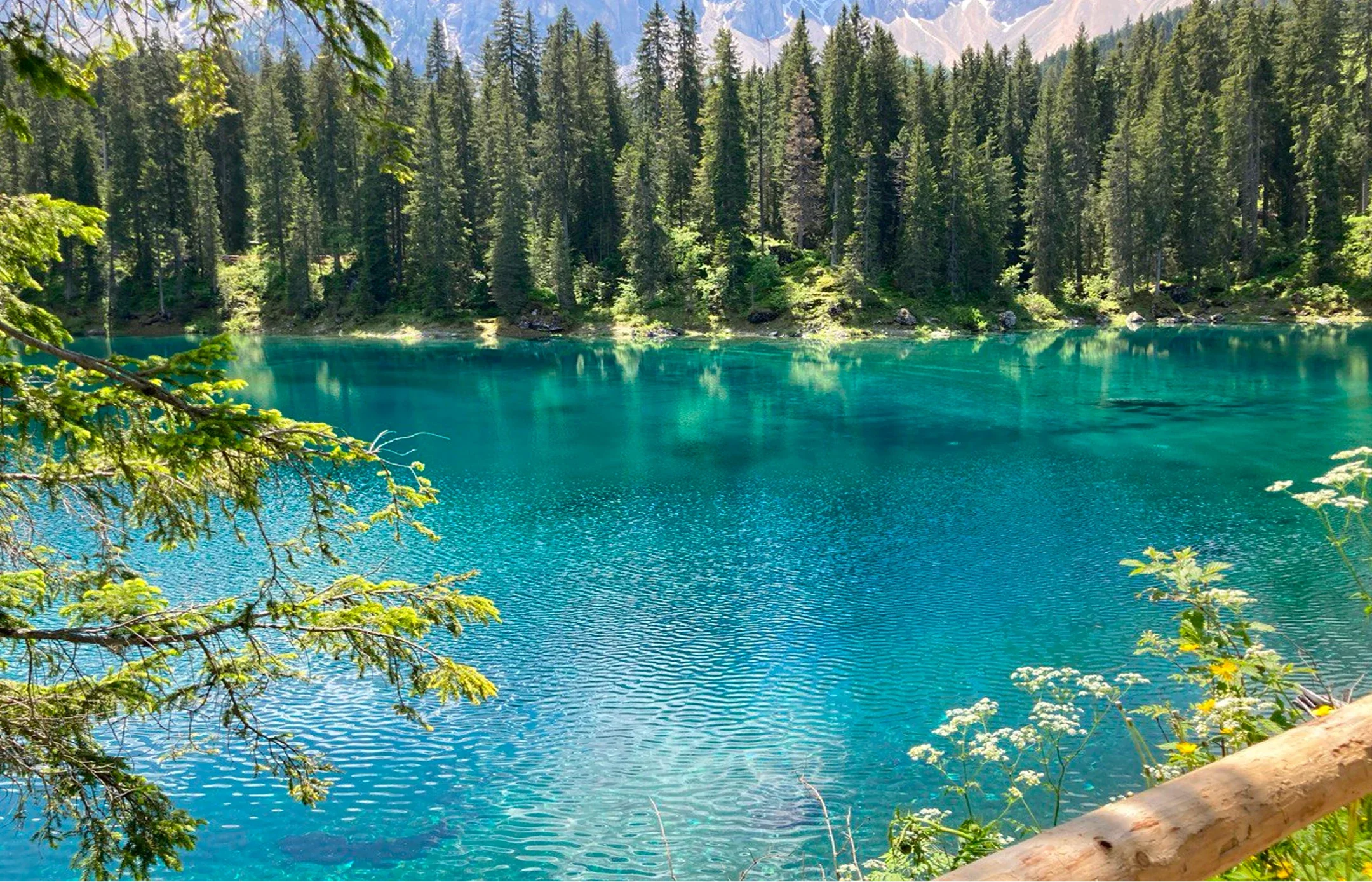 Immagine illustrativa